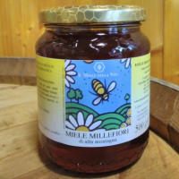 Il miele della vita miele millefiori